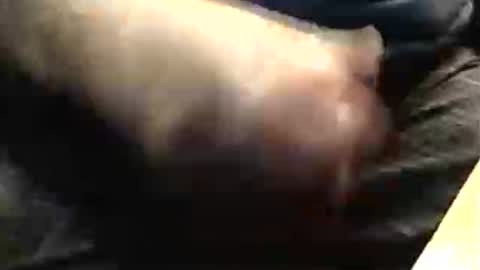 lukestarfckr online show from November 23, 2025, 7:57 pm