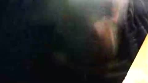 lukestarfckr online show from February 15, 2026, 9:33 pm