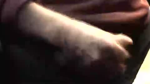 lukestarfckr online show from March 29, 2026, 6:08 pm