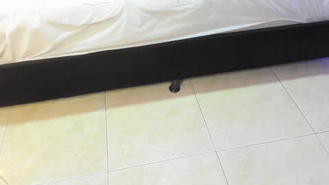 lulu online show from February 10, 2026, 7:18 pm