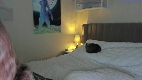 Sofia online show from February 26, 2025, 2:46 pm