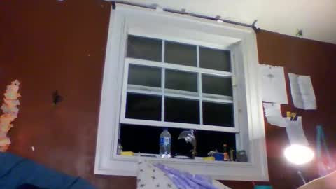 Snapshot of lunasecretadmirer chatting on March 1, 2026, 5:31 am lunasecretadmirer online show from March 1, 2026, 5:31 am