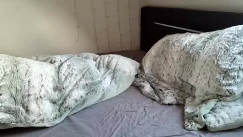 Snapshot of lunaticminx chatting on December 20, 2024, 11:10 am Luna  powered by bitch dust online show from December 20, 2024, 11:10 am