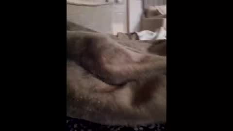 lunchmoney23 online show from March 6, 2026, 2:30 am