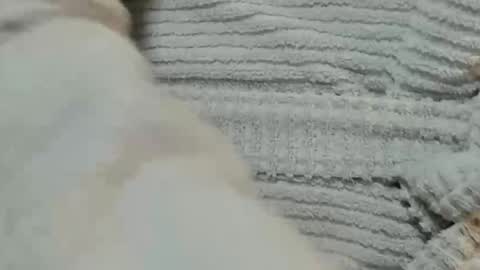 lustgardener67 online show from December 9, 2024, 6:03 pm