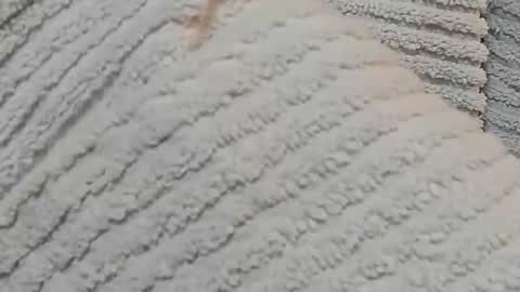 lustgardener67 online show from December 15, 2024, 7:24 am