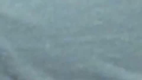 lustgardener67 online show from January 27, 2025, 10:06 am