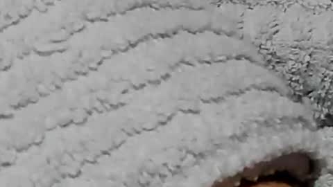 lustgardener67 online show from February 3, 2025, 7:21 pm