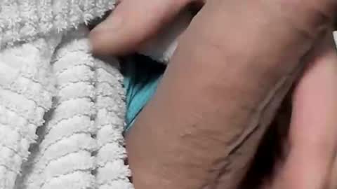 lustgardener67 online show from February 4, 2025, 5:45 pm