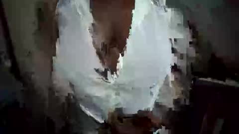 Snapshot of lustinshadows chatting on October 20, 2025, 12:22 am Nessy online show from October 20, 2025, 12:22 am
