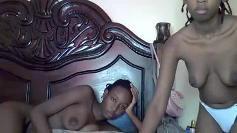 lutino_lovebirds online show from March 19, 2026, 10:19 am