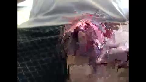 lutorres online show from September 19, 2025, 11:55 am