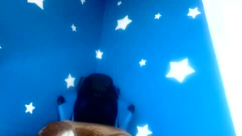 Snapshot of luzzy_cam chatting on July 6, 2026, 3:03 pm luzzy I hope your visit and that we manage to get very hot online show from July 6, 2026, 3:03 pm