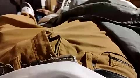 Lvac11 online show from December 8, 2024, 7:58 am