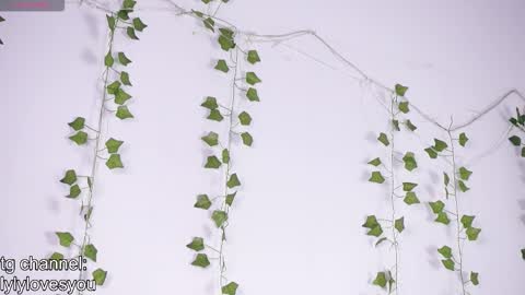 Lyly   online show from January 13, 2026, 5:46 am