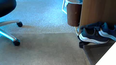 lynne_cd_nj online show from October 1, 2025, 8:26 pm