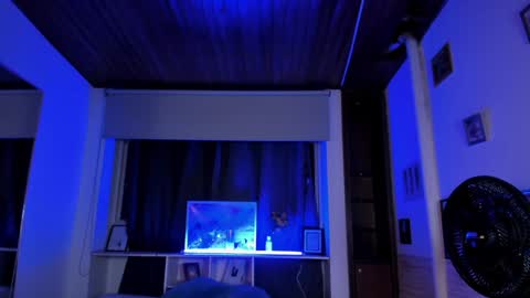 Lyssa  Everyday From 0700 to 1630 Col Time online show from January 14, 2025, 1:15 am