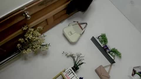 Janelovesu online show from February 13, 2026, 12:50 am