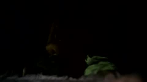 m8437769 online show from October 22, 2025, 7:13 pm