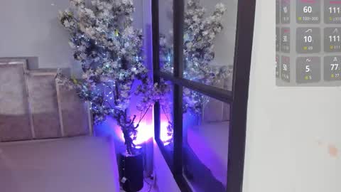 Maraacooper online show from November 4, 2025, 11:48 pm