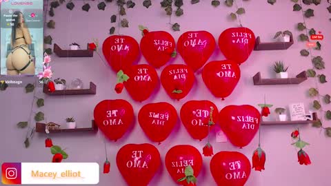 Macey Elliot Modelo Independiente online show from February 15, 2025, 2:55 pm