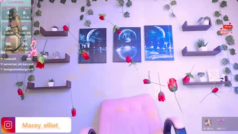 Macey Elliot Modelo Independiente online show from February 26, 2025, 7:16 pm