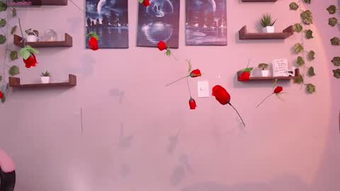 Macey Elliot Modelo Independiente online show from March 1, 2025, 2:02 pm