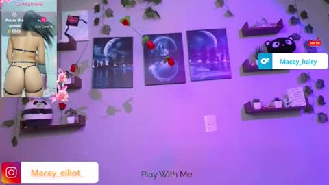 Macey Elliot Modelo Independiente online show from March 12, 2025, 9:35 pm