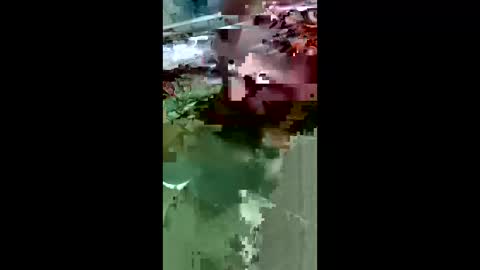 maciasbraulio846 online show from March 14, 2026, 9:48 am