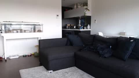 Snapshot of maddiemeekxo chatting on February 10, 2025, 2:19 am Maddie Meek  online show from February 10, 2025, 2:19 am