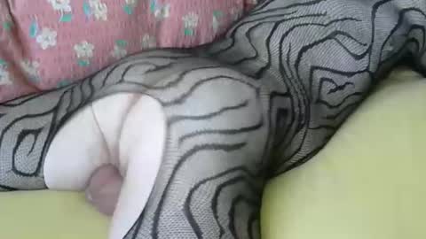 maestro2017 online show from April 6, 2026, 6:47 am