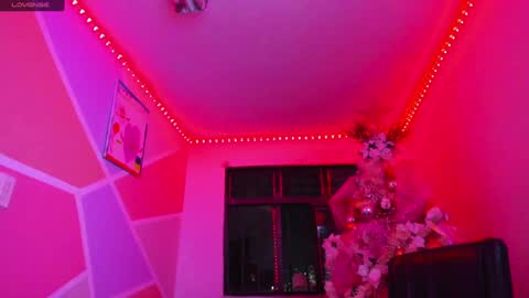   online show from January 21, 2025, 2:00 am