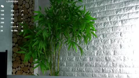 Lucy online show from April 8, 2026, 2:11 am