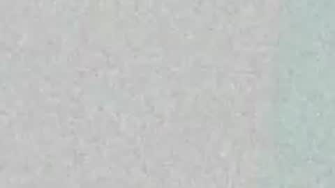 Snapshot of majestic_bella chatting on May 10, 2026, 2:22 pm Bella online show from May 10, 2026, 2:22 pm