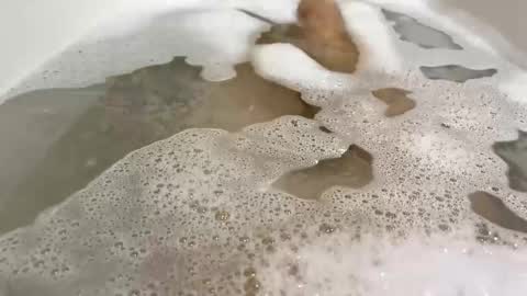 Monad online show from November 10, 2025, 9:03 pm