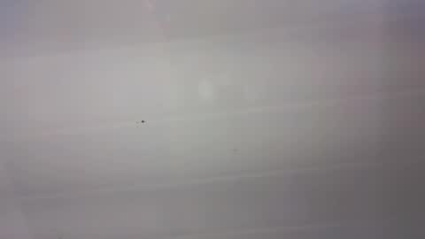 malen_fitnessmilf online show from March 22, 2026, 11:02 am