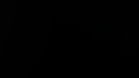 Alice Asylum online show from April 19, 2026, 9:28 pm