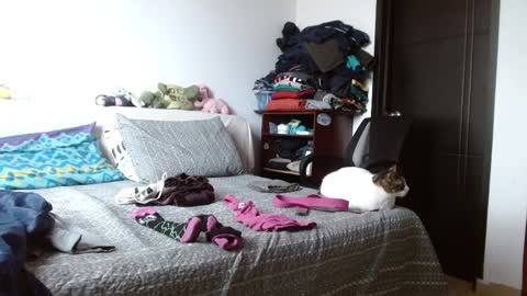 Malita online show from April 6, 2026, 4:19 pm