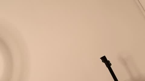 Lory  online show from April 12, 2026, 6:57 pm