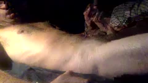 mandalay3 online show from December 16, 2025, 5:12 am