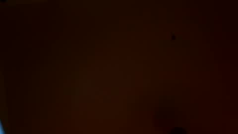 Snapshot of maniak_paraphiliacz chatting on July 22, 2026, 3:20 am Jan and Man online show from July 22, 2026, 3:20 am