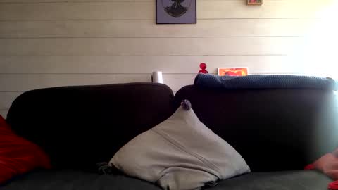 Manpo online show from October 12, 2025, 1:43 pm