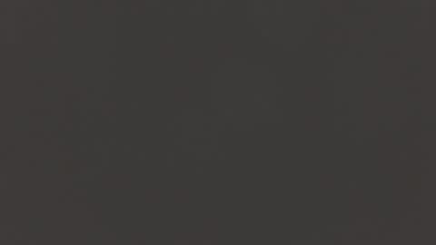 Manuel RL online show from February 13, 2025, 11:17 am