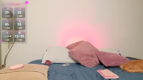     online show from January 11, 2025, 3:23 am