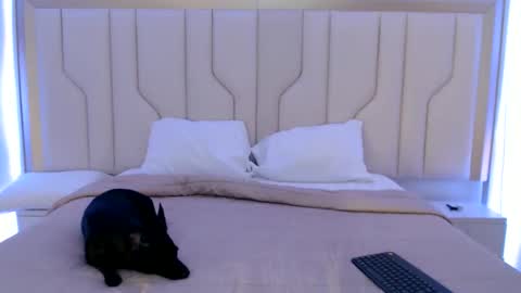 Snapshot of mara_sex chatting on June 11, 2026, 11:08 am pao online show from June 11, 2026, 11:08 am