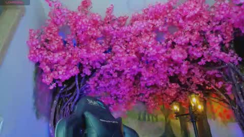 Mara Hanson online show from January 7, 2026, 7:05 pm