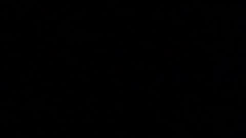 Elle online show from October 20, 2025, 1:33 pm