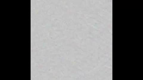 Margot online show from February 24, 2025, 11:21 am