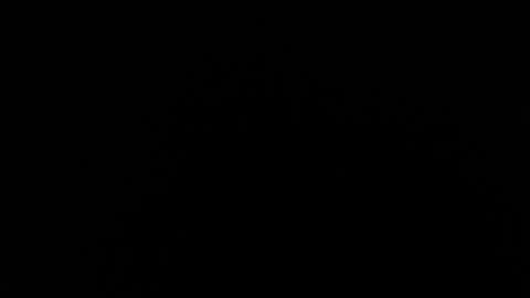 Snapshot of mariana_aria chatting on June 5, 2026, 12:17 am mariana aria online show from June 5, 2026, 12:17 am