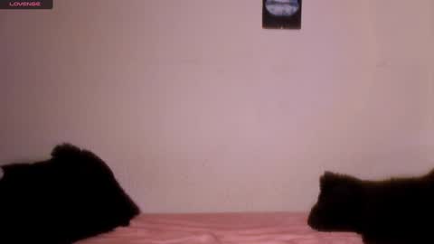 mariana williams online show from January 31, 2025, 1:43 am